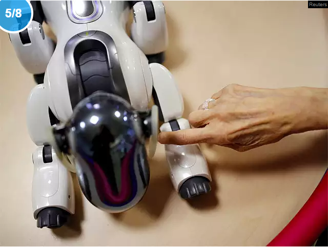 Un résident touche «AIBO», un robot chien de compagnie, à la maison de retraite Shin-tomi à Tokyo, au Japon.