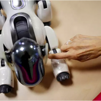 Un résident touche «AIBO», un robot chien de compagnie, à la maison de retraite Shin-tomi à Tokyo, au Japon.