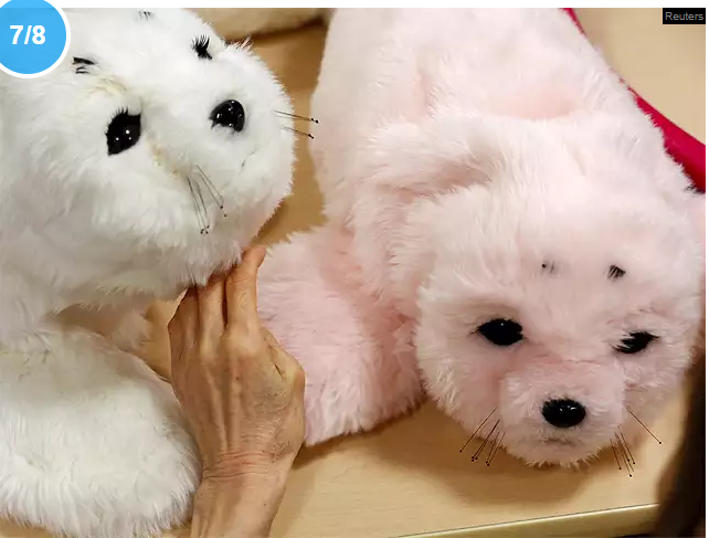 Un résident touche la fourrure du robot 'PARO' à la maison de retraite Shin-tomi de Tokyo, au Japon.