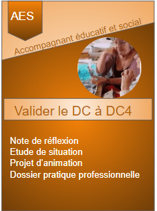 Accompagnant educatif et social valider le dc1 a dc4