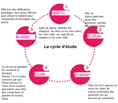 Cycle d etude