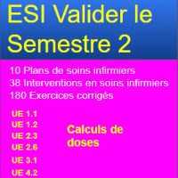 ESI Valider le semestre 2