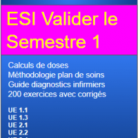 ESI Valider le semestre 1