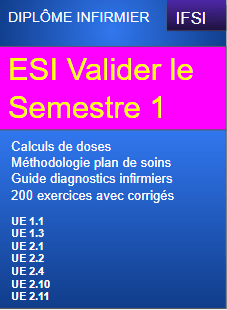 Esi valider le semestre 1