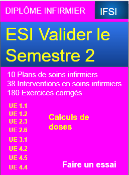 ESI Valider le semestre 2