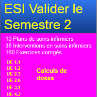 ESI Valider le semestre 2