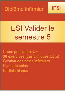 Esi valider le semestre 5