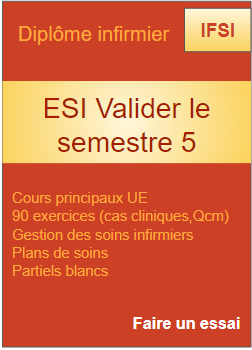 Esi valider le semestre 5