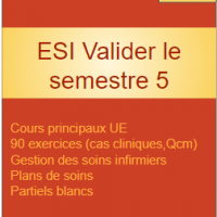 ESI Valider le semestre 5