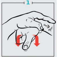H1