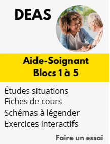 Aide soignant DEAS Blocs 1 à 5