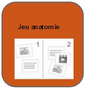 Jeu anatomie