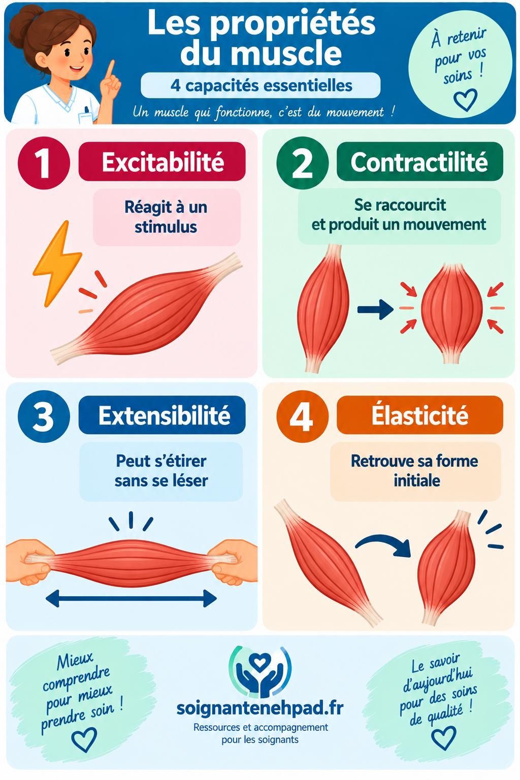 Les proprietes du muscles