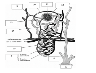 Question 19