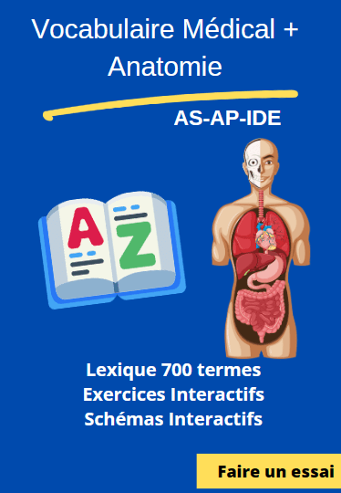 Vocabulaire médical-Anatomie AS-AP-IDE