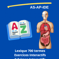 Vocabulaire médical-Anatomie